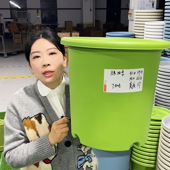 特价8号四季口39高38白色5只无托