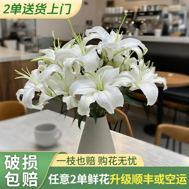【两个老六卖花花】西伯利亚香水百合 任意2单升级快递