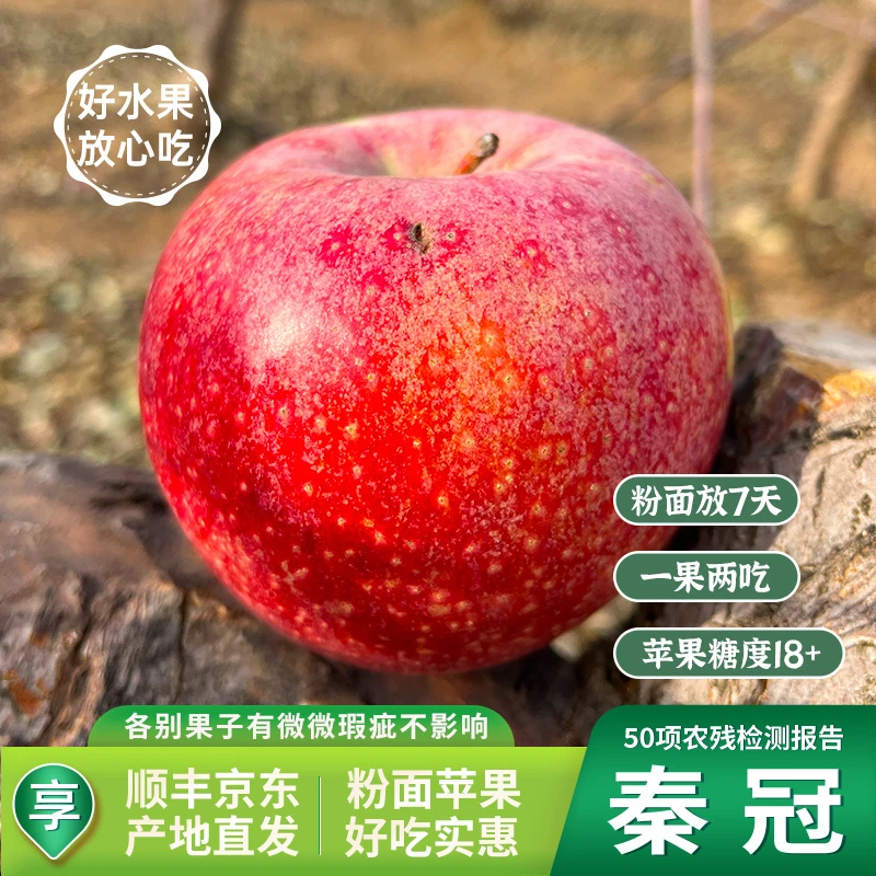 【顺丰-京东】秦冠粉面苹果农家果纯甜不酸【微微瑕疵果-不影响食用】