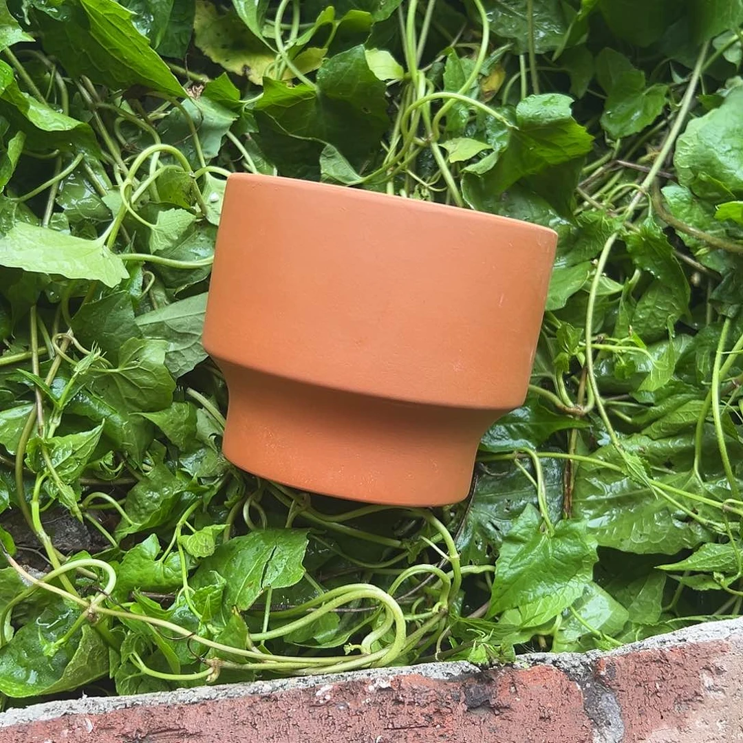 酒杯盆14口11高1只【微瑕】