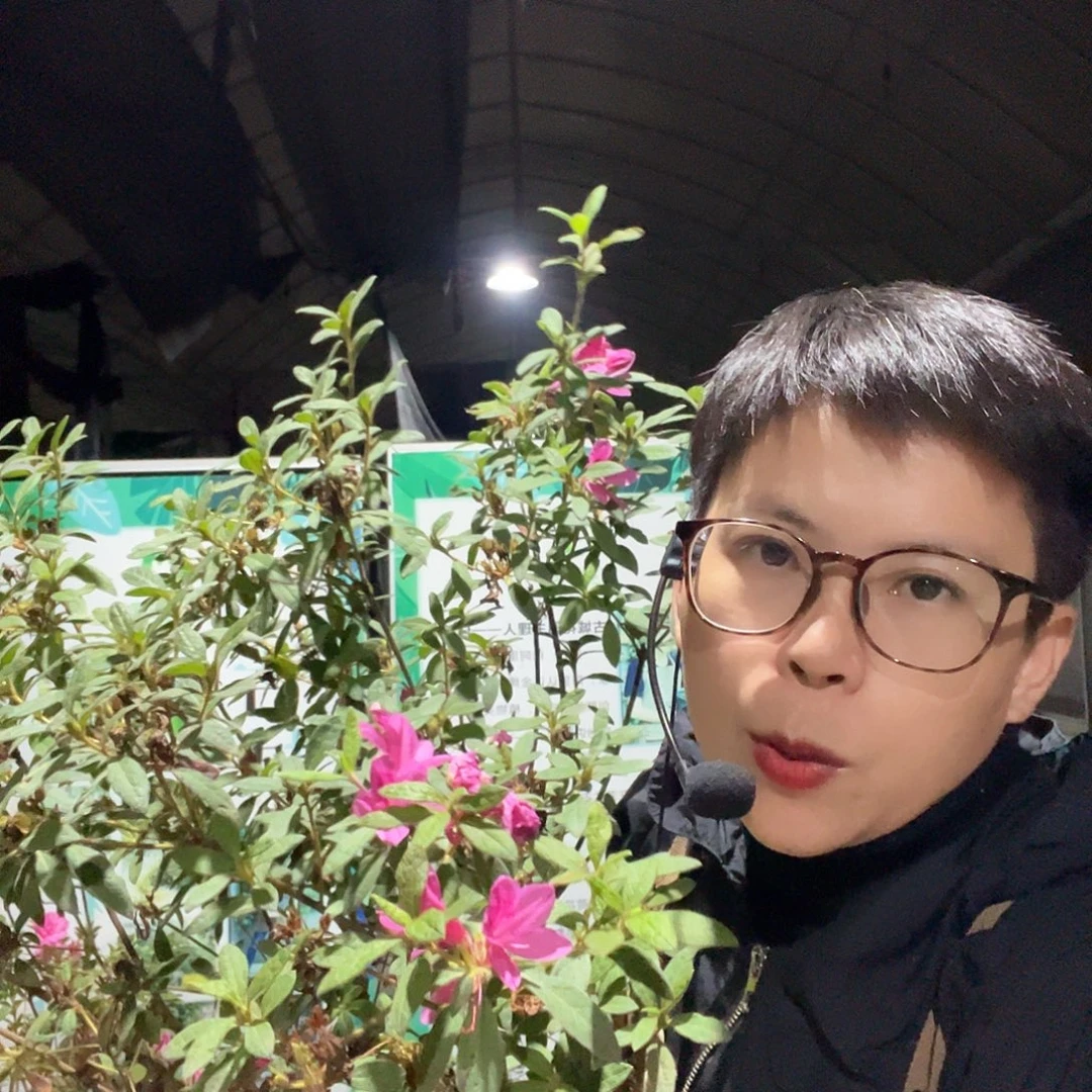 当前无花栽培后可以开花粉丝大概两加仑一对