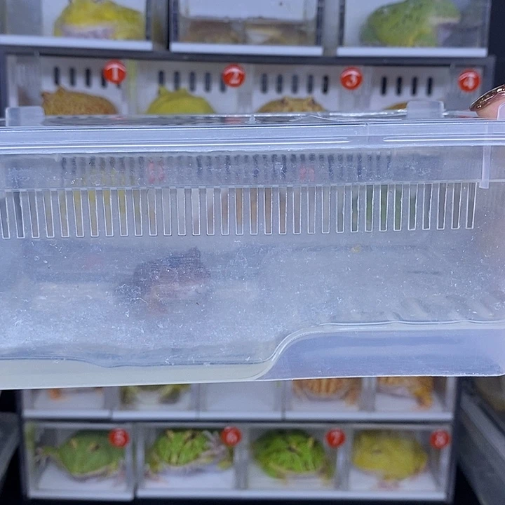 特价秒杀一切顺利