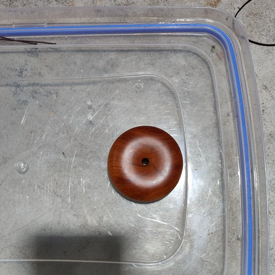 R***y平安扣一个，太行崖柏