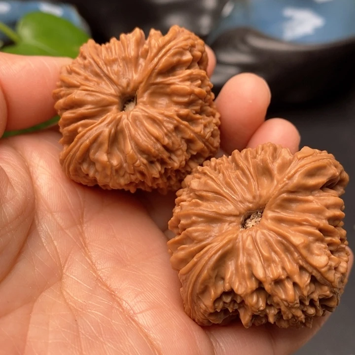 把件文玩核桃拉丝蚂蚁44尺