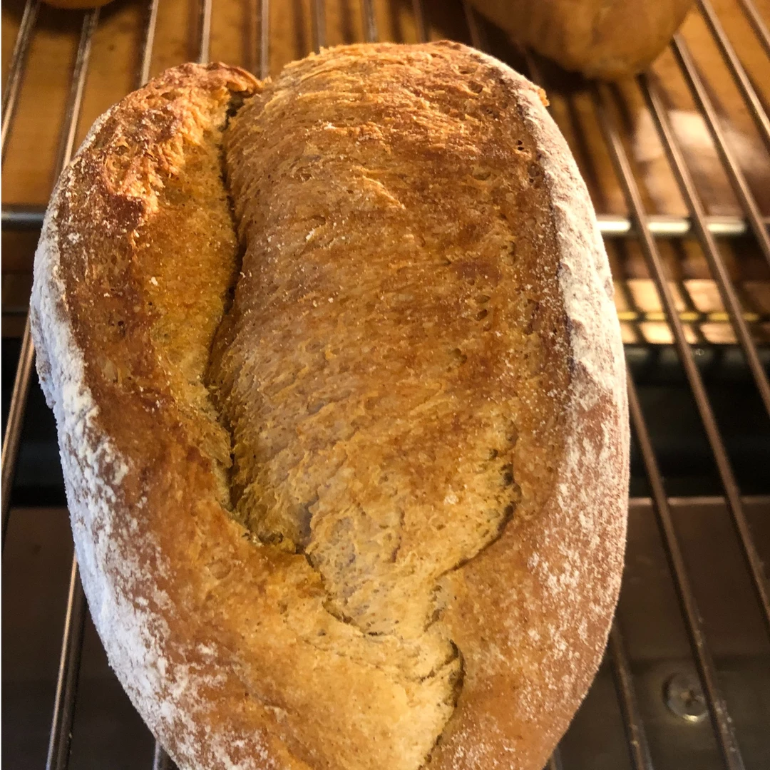 全麦无糖面包3+碱水面包3（组合6个 每个90克）