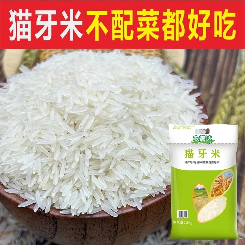 农满达【一级猫牙米】5/10/20斤晚稻再生稻新米长粒香米煲仔饭大米