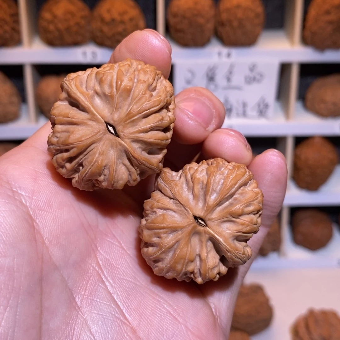 十***症35尺 全品无修白茬 将军