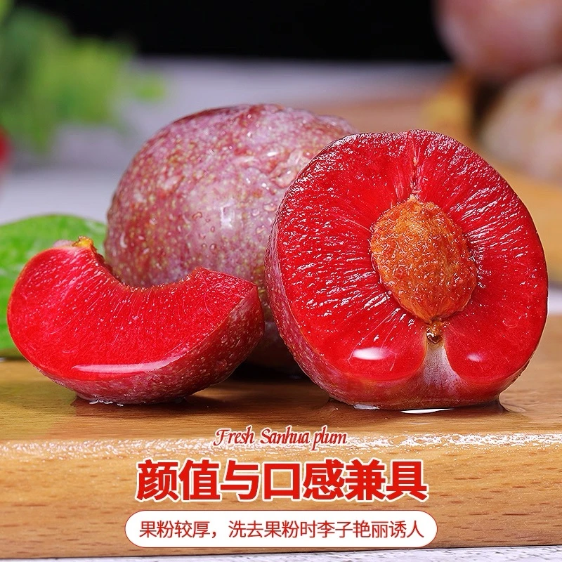 福建高山红心芙蓉李新鲜现摘酸甜可口应季水果四斤多仓发货