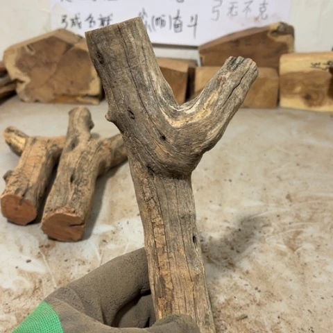 大果紫檀（缅甸花梨）尛*斗