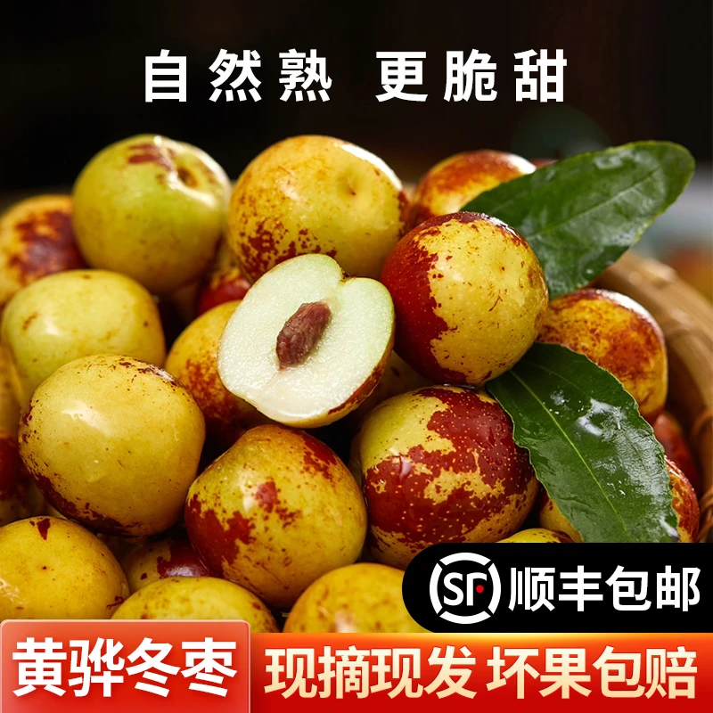 黄骅冬枣【顺丰包邮】现摘新鲜脆甜多汁应季水果产地直发