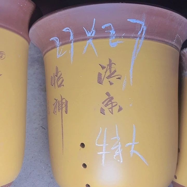 周深周深周深周深