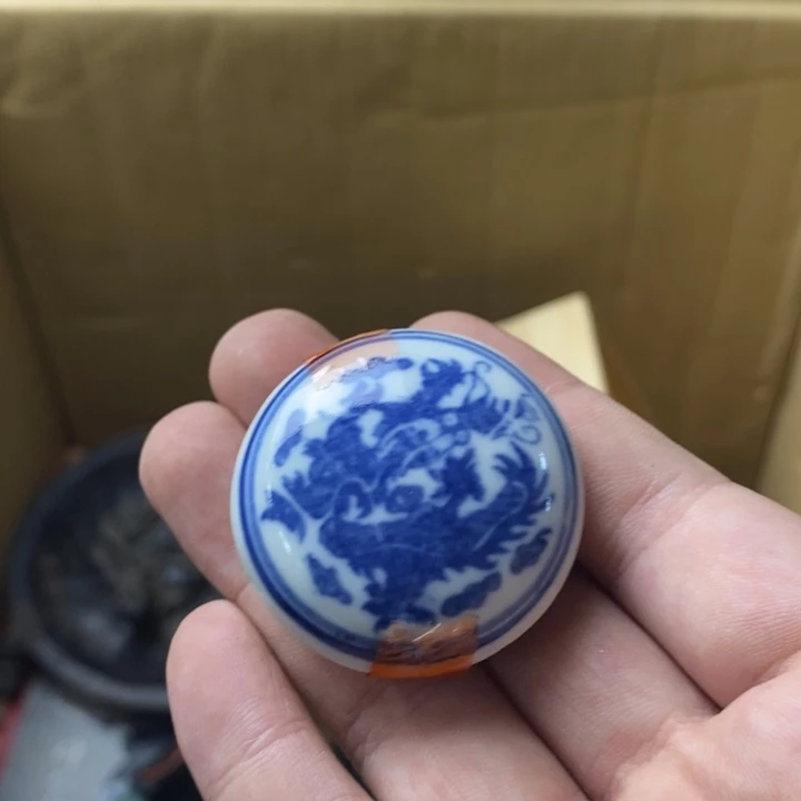 猫*如图所示所拍即所得