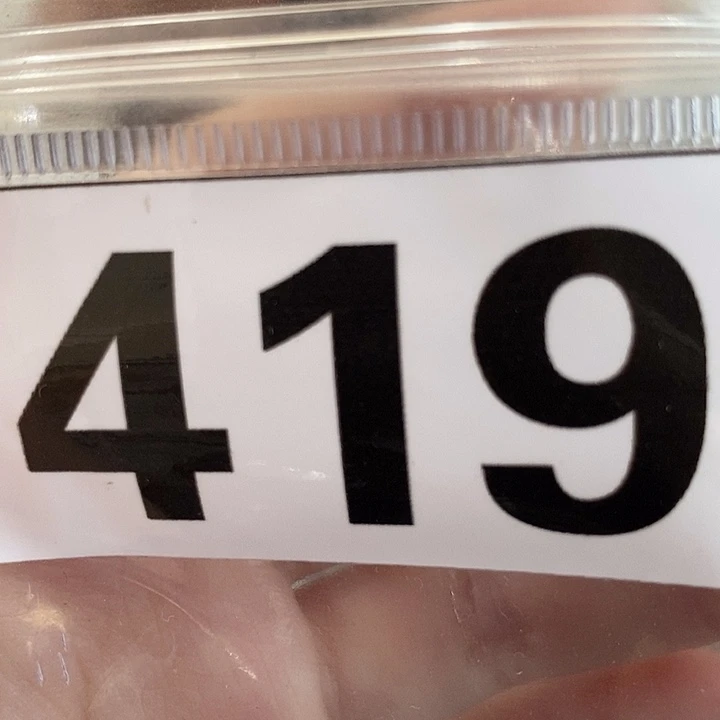 大叶紫檀（黑酸枝木类）419