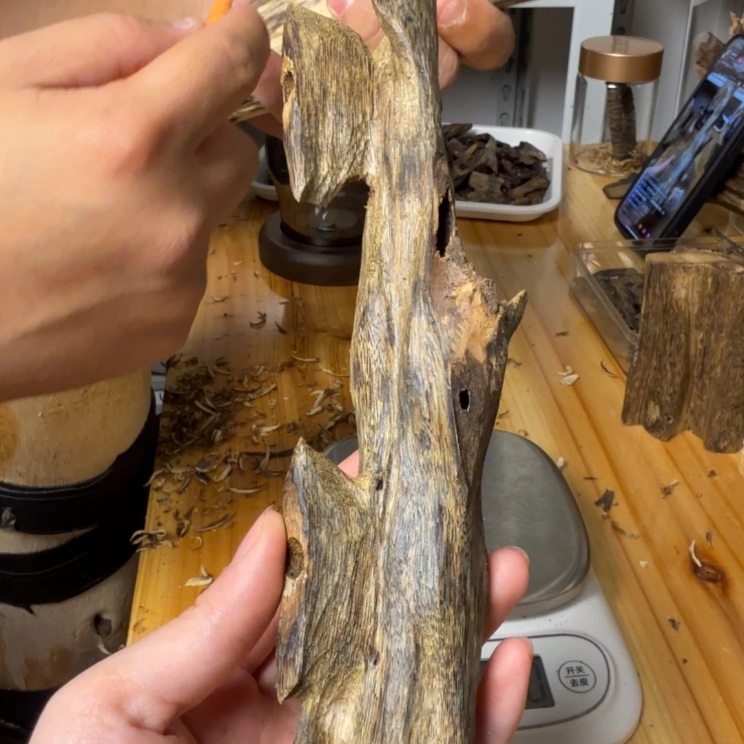 沉香紫奇虫漏香56克