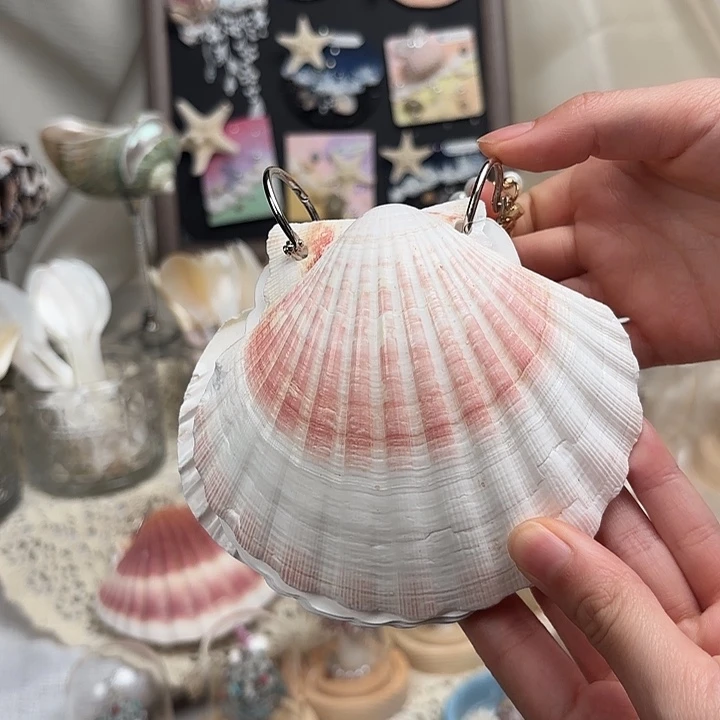 天然扇贝贝壳手账本