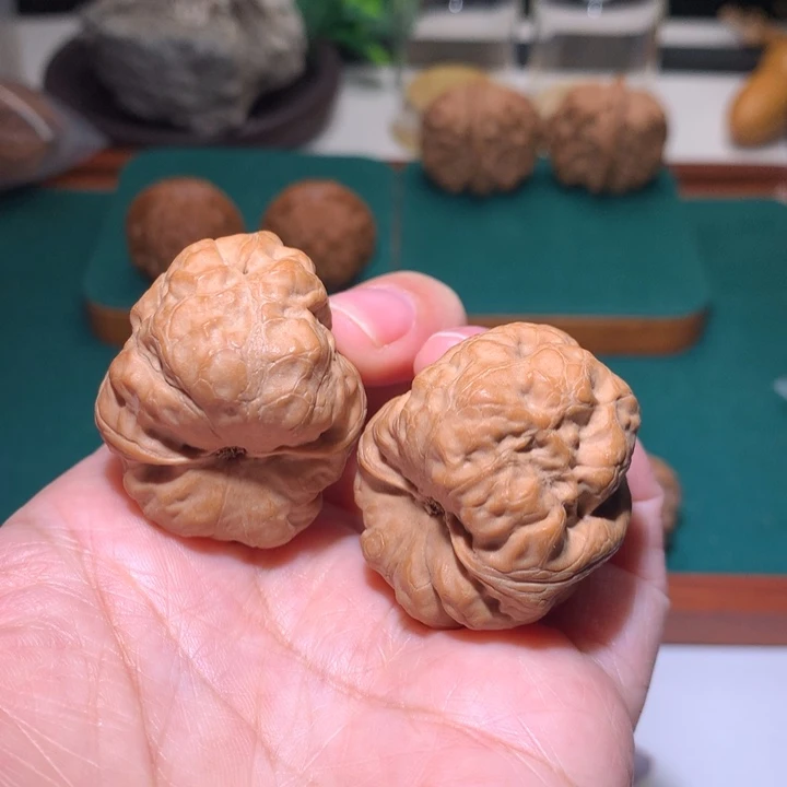 把件文玩核桃古蟾有黄