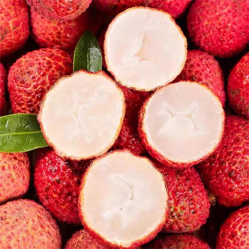 广西无核荔枝2.5斤/4.5斤顺丰冷链新鲜现摘果肉饱满清甜脆爽