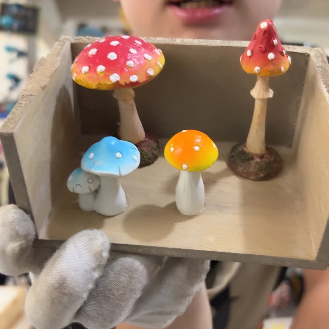 核桃木/黑胡桃（胡桃木）