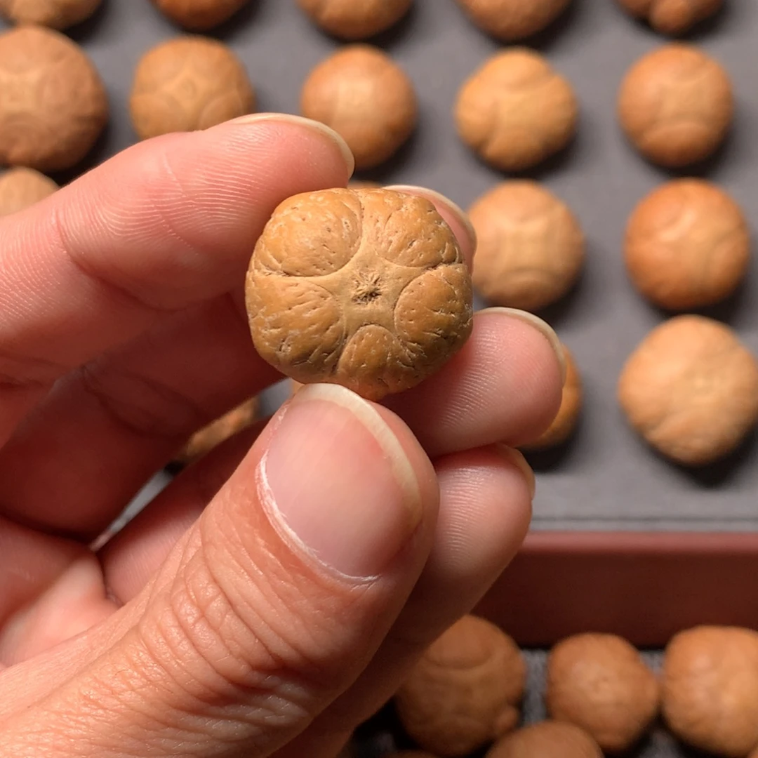 s***w凤眼菩提吊坠20mm尼泊尔五星，打孔后不退换