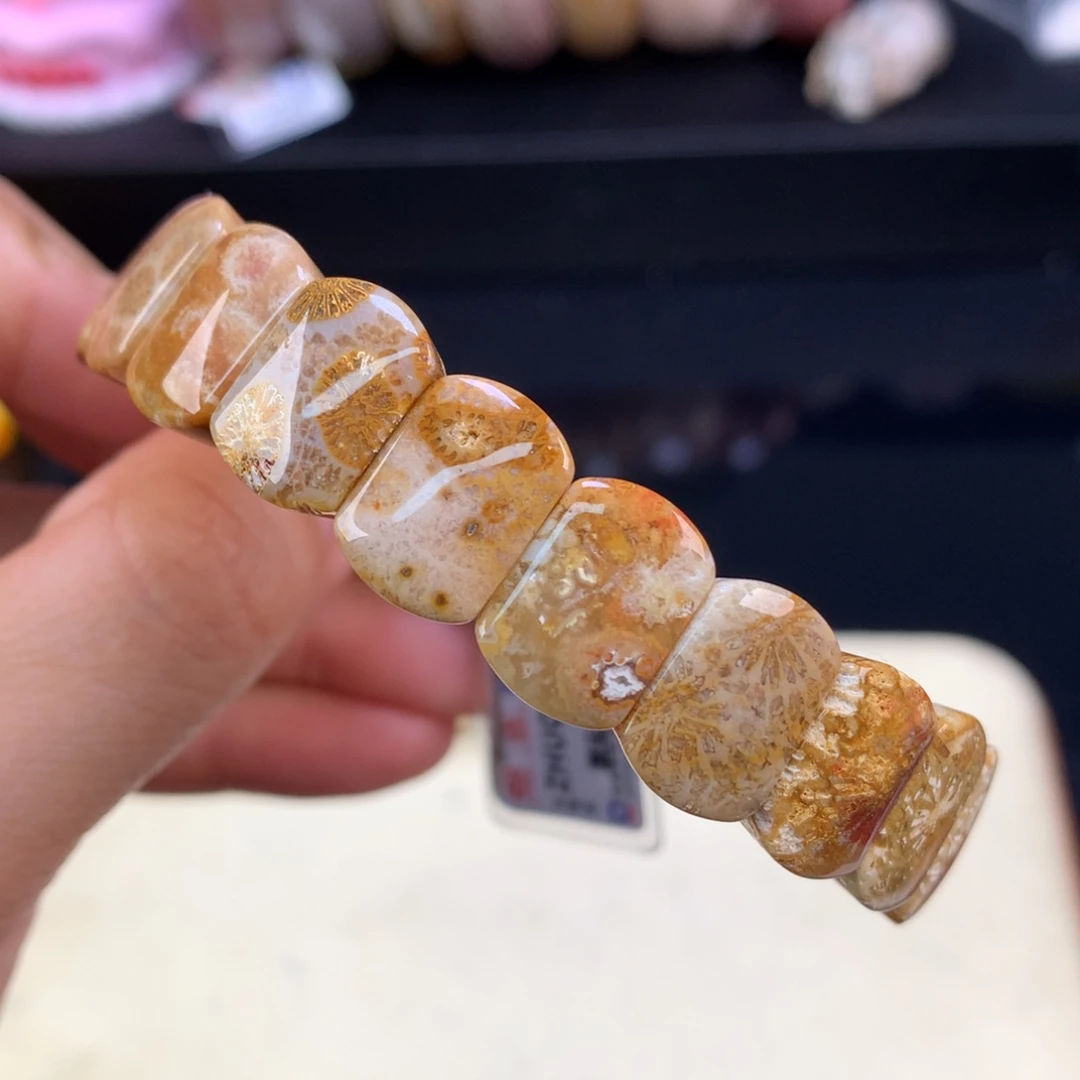 硅化珊瑚（珊瑚玉）未镶嵌吊坠(赠链)2号福利手牌