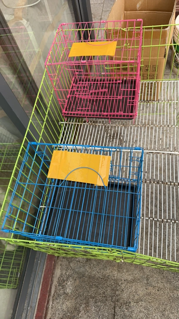 宠物狗笼子直播专属