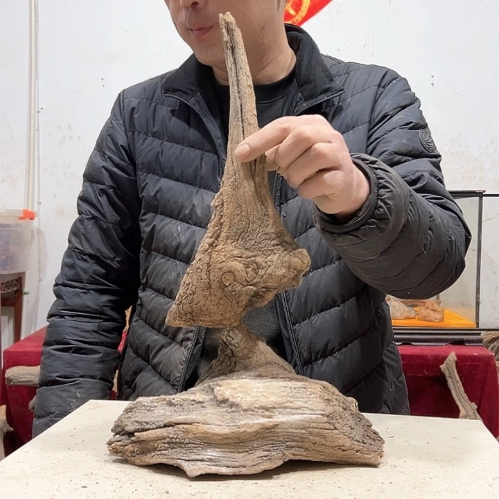 柏木古**香我们的生活也会越来越