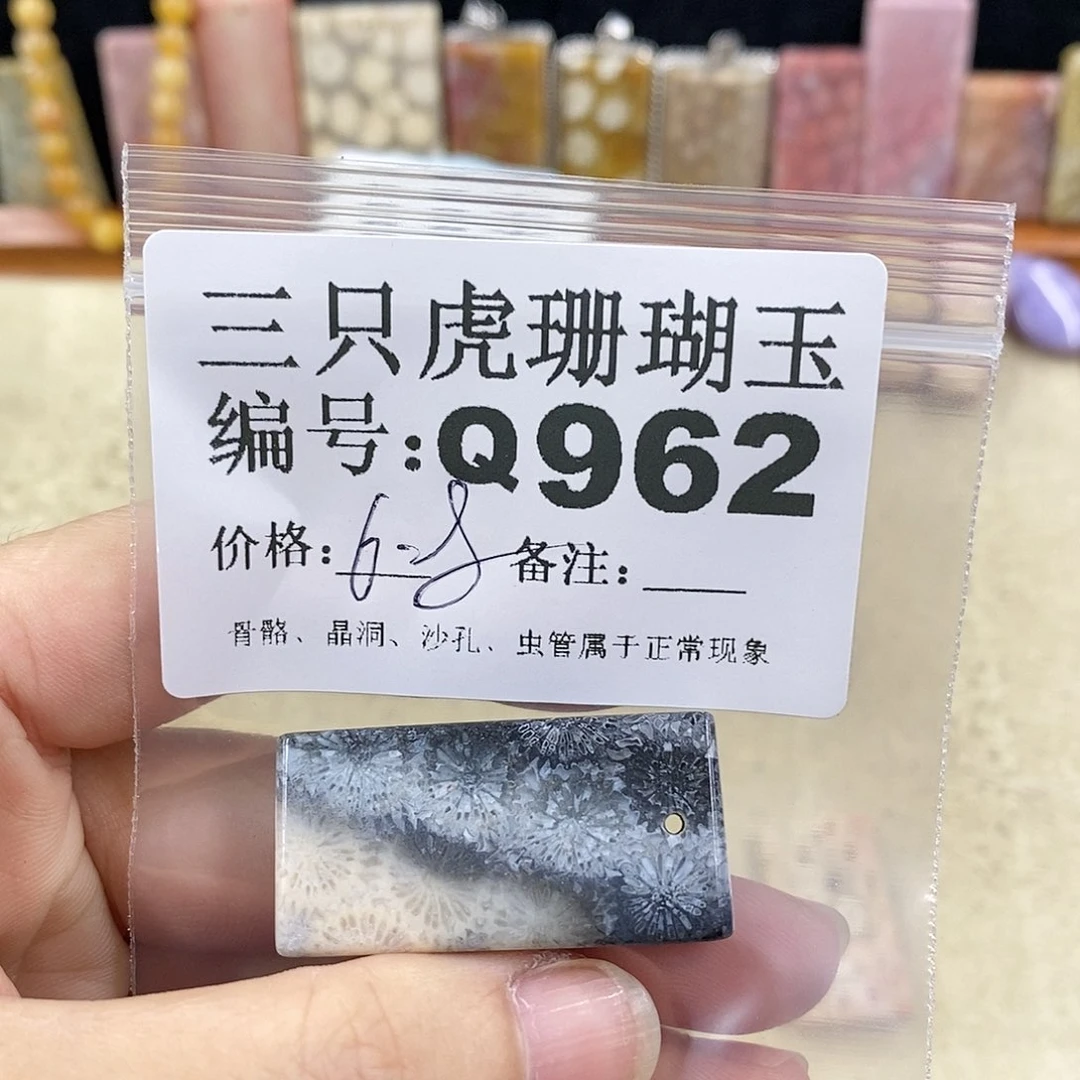 硅化珊瑚（珊瑚玉）1未镶嵌*‍****