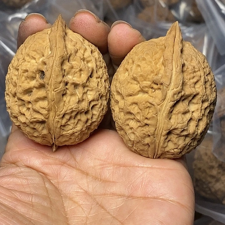 把件文玩核桃云南铁核桃99