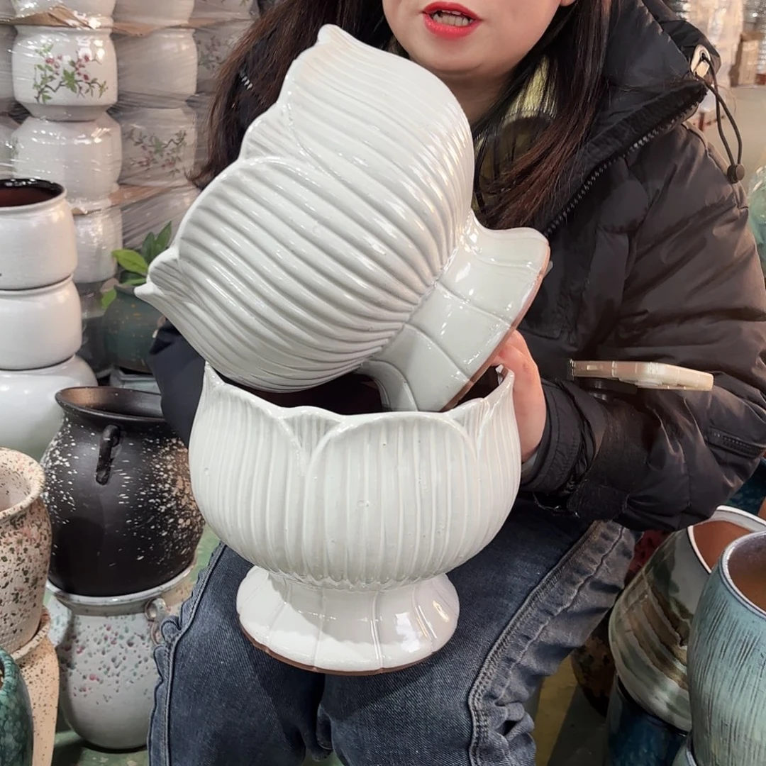 正品两个高20/20红陶