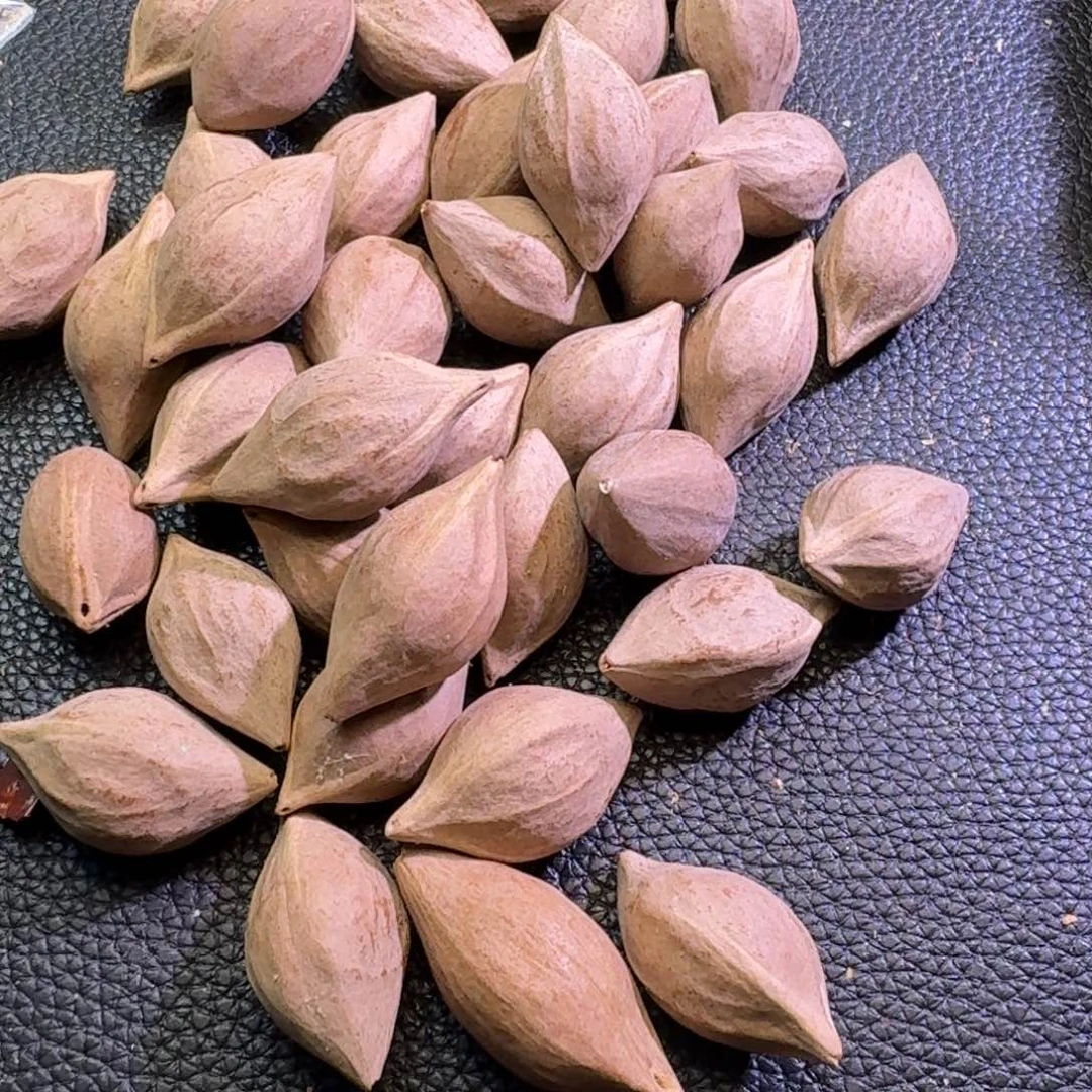 天***t手串/手链橄榄核1