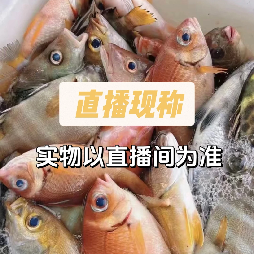 【海鲜改价链接】以直播间为准 现场拍 no退no换
