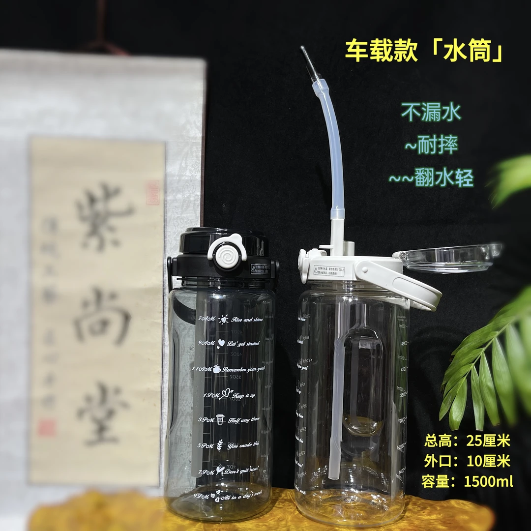 户外旅行车载水壶2025年新款方便携带高颜值透明耐摔塑料吸管水筒
