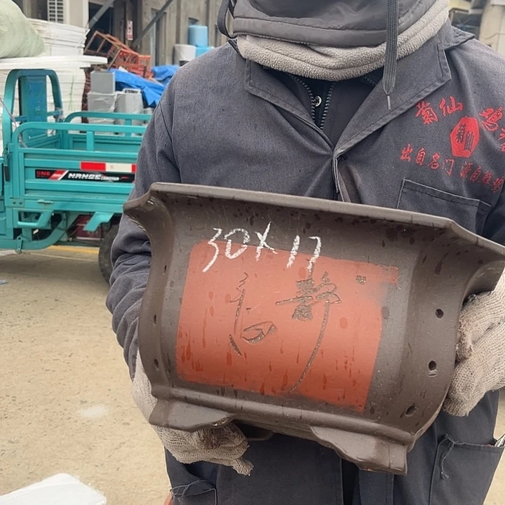 紫砂紫砂花盆盆栽
