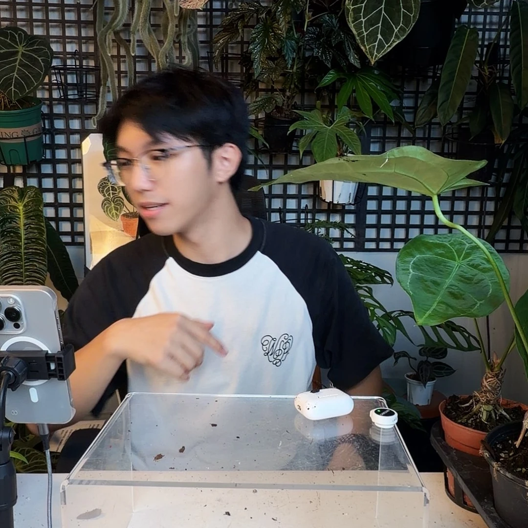 完全开放P26 水晶花束