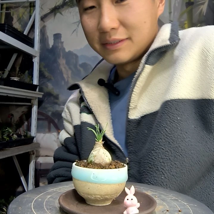 尘***忆中青园艺一物一拍花82