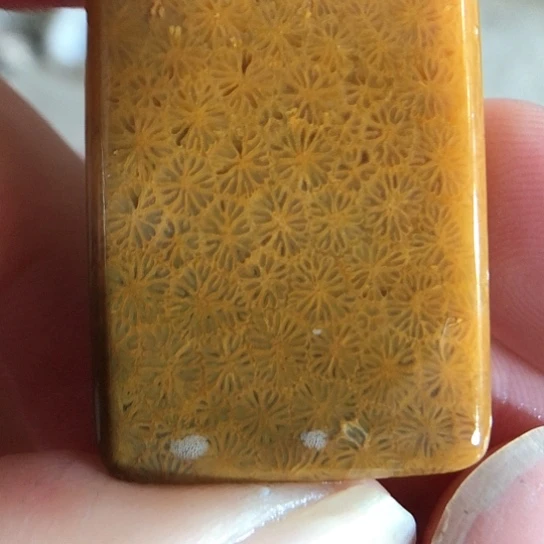 硅化玉吊坠未镶嵌