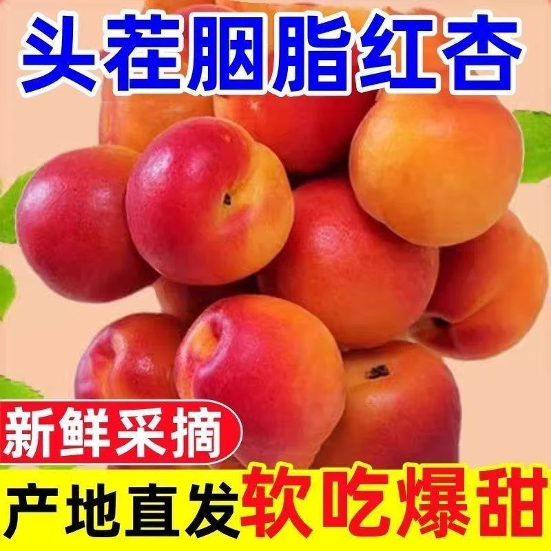 【4斤装-京东发货】陕西大荔胭脂红贵妃杏酸甜可口现摘现发新鲜