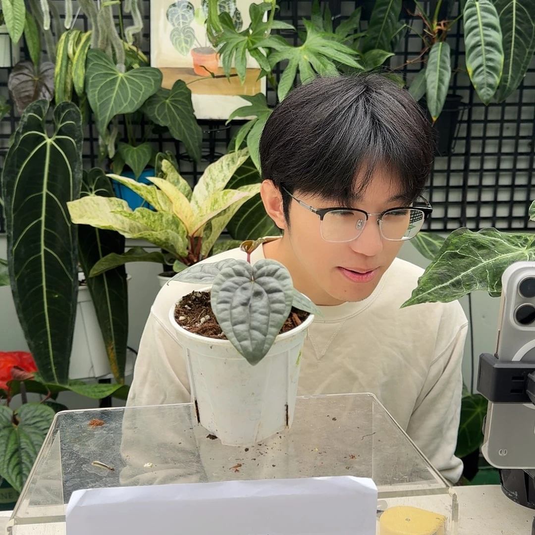 完全开放I109奢华