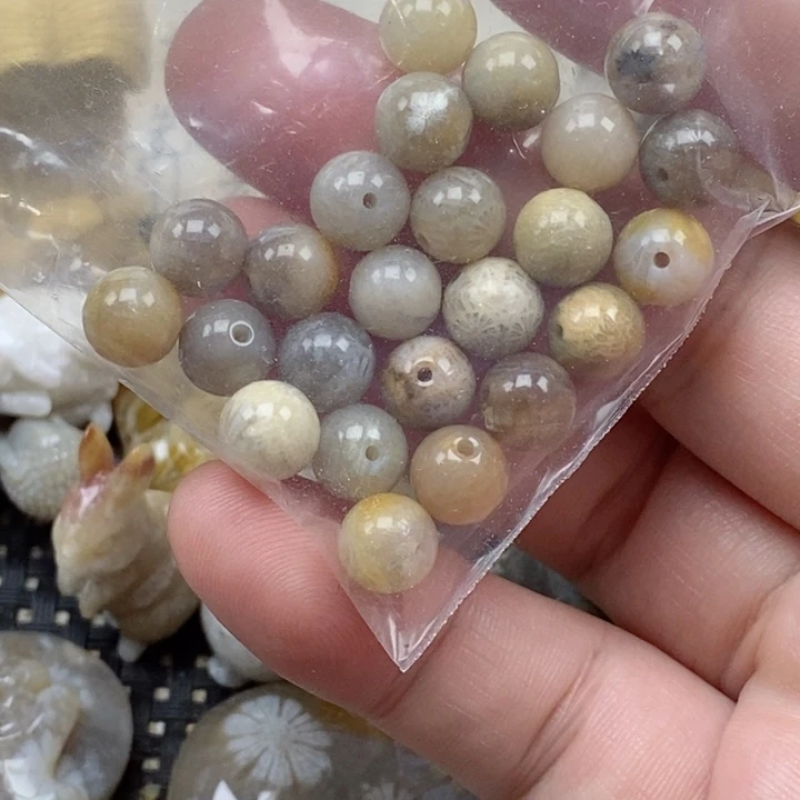 颈饰未镶嵌硅化珊瑚（珊瑚玉）