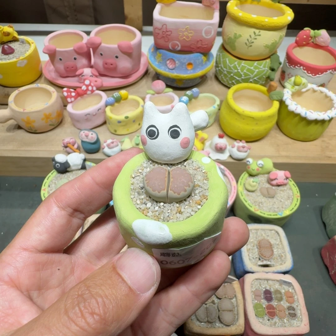 可***猫蘑菇207c216饼干饼干