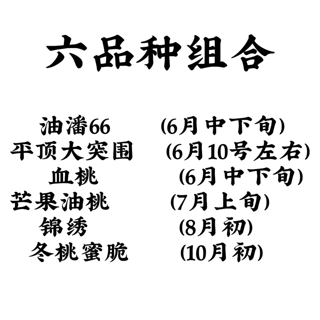 组合新品种（6个品种），每个品种2颗，优质品种