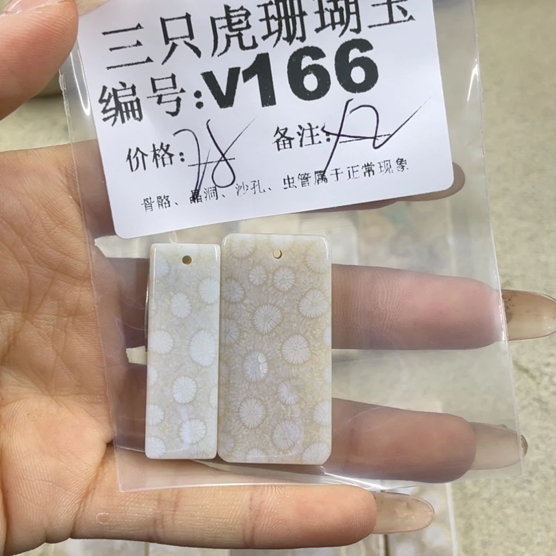 小***鱼硅化珊瑚（珊瑚玉）未镶嵌h