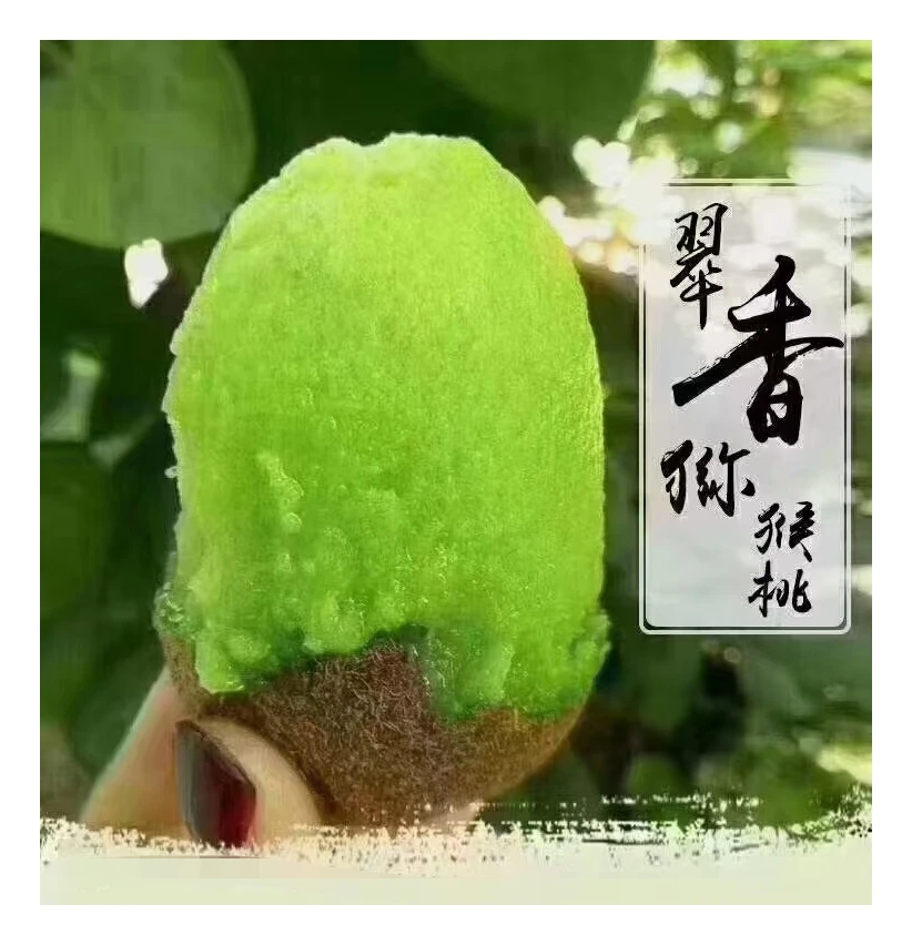 陕西翠香猕猴桃5绿心好吃新鲜当季
