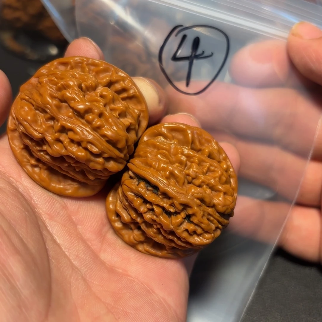 核桃其他四座楼得