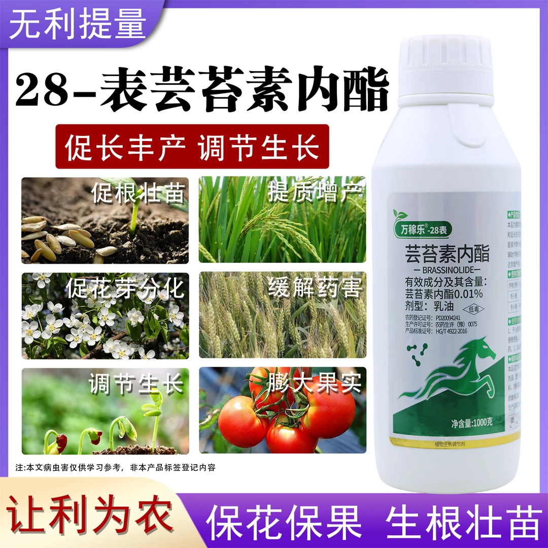 芸苔素内酯植物生长调节剂促进生根保花保果用于果树蔬菜花卉正品