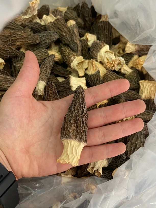 50g【尝鲜价】云南特产羊肚菌干货中小个头适合煲汤营养美味