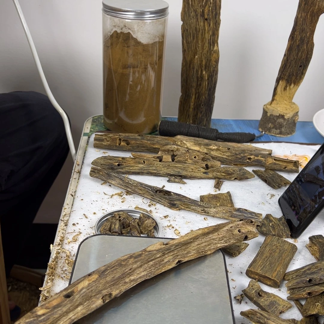 线香奇楠虫漏香47克