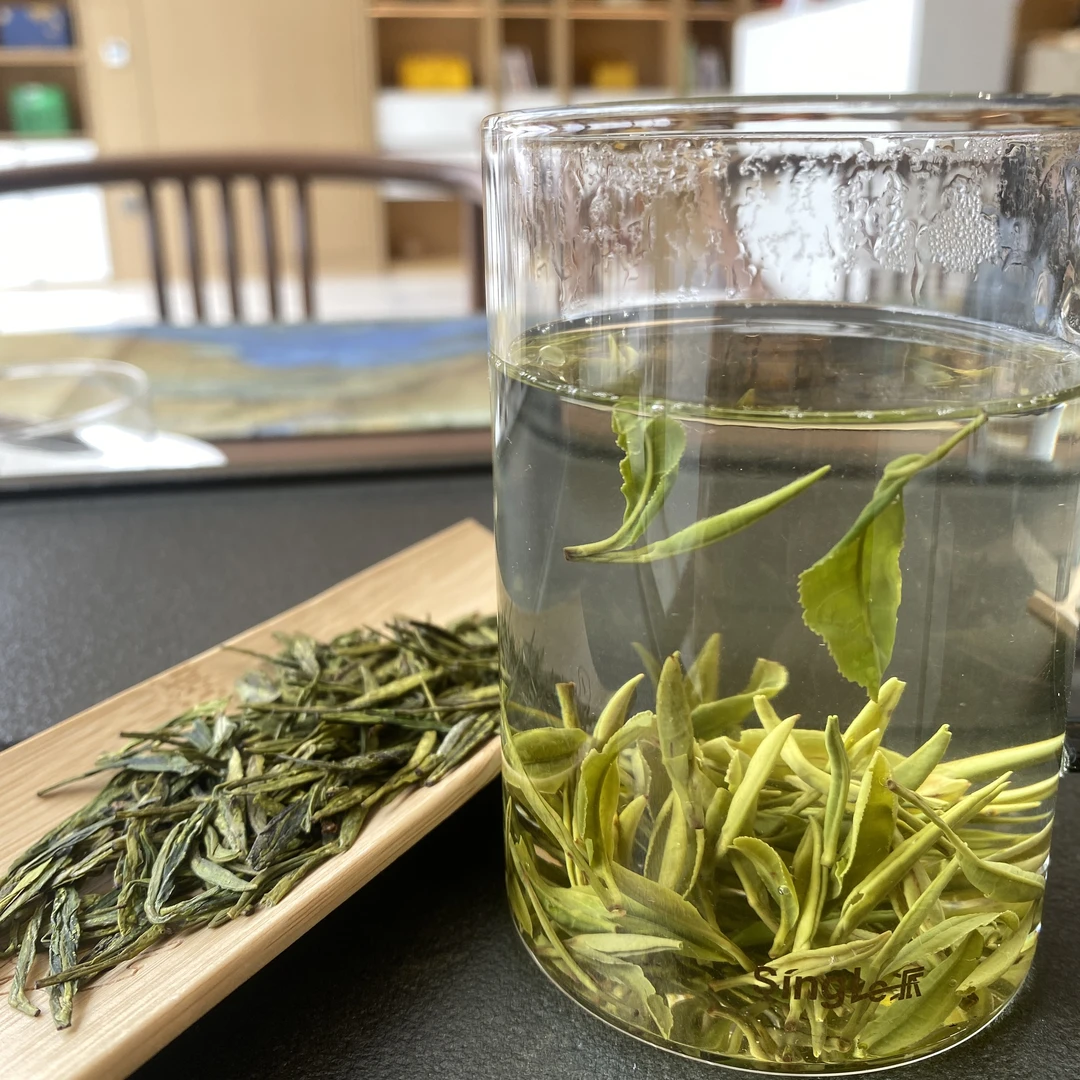 甘肃陇南文县碧口明后几天老品种龙井一芽一叶群体种豆香浓郁耐泡