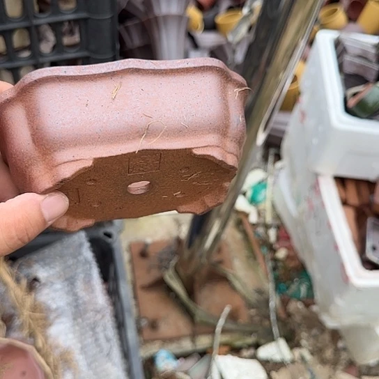 这几句真的好好啊哈哈好好听