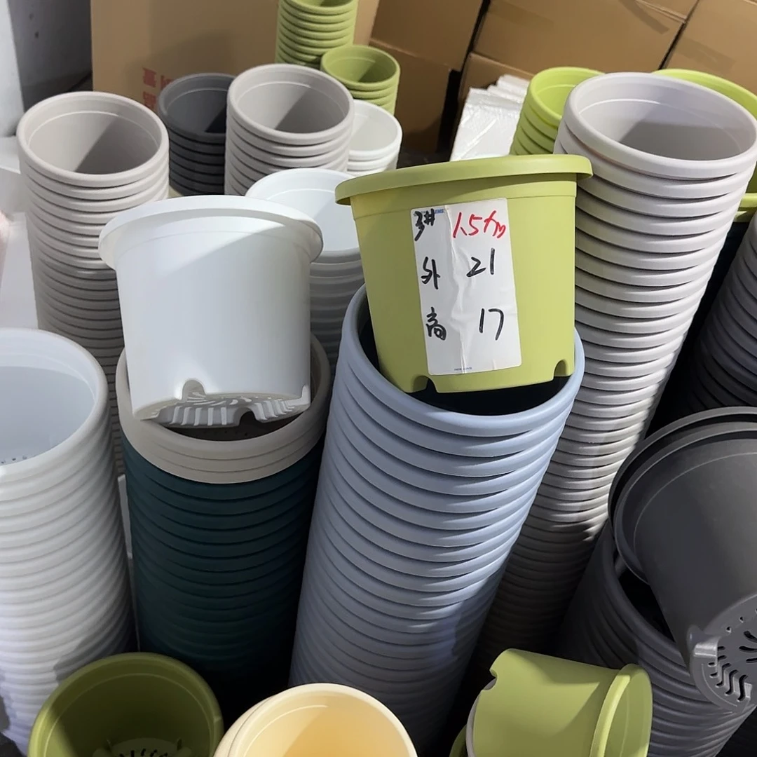 微瑕3号10个无托，果绿